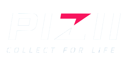 piziitoys-logo-new.png
